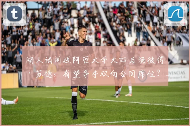 湖人试训迈阿密大学大四后场彼得·苏德,有望争夺双向合同席位?_赛季_球员_数据